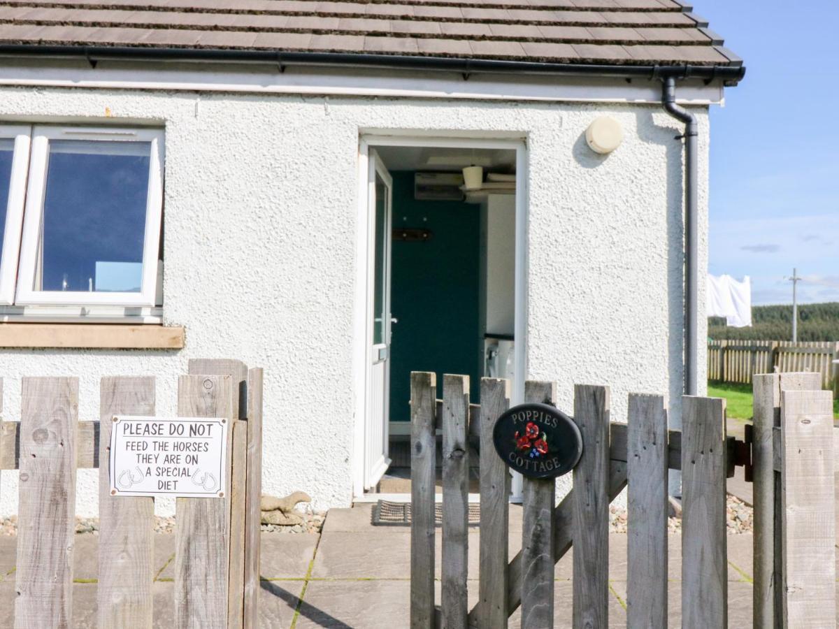 Poppies Cottage Крейгнюър Екстериор снимка